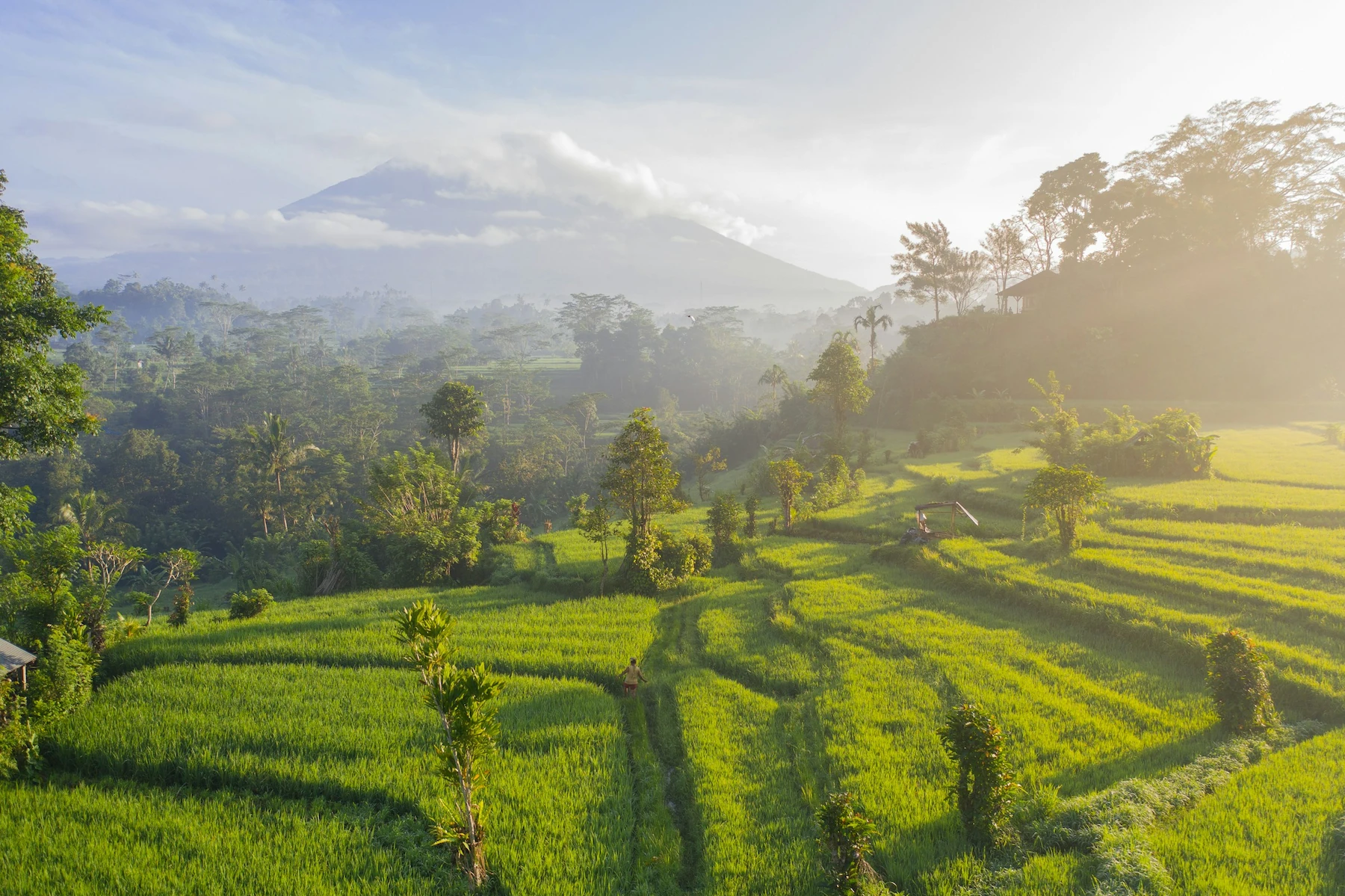 Authentiek Indonesie Gunung Mas